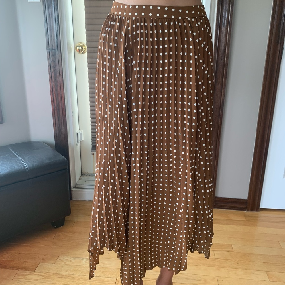 Zara Dotted Skirt